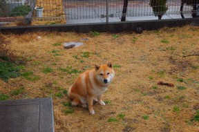 华体会网址-CBA赛季吸引大量篮球迷关注，cba球队2021