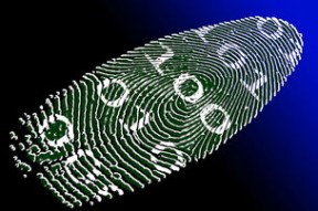 华体会app下载-足球场的未来：超高技科技与观众席的革新，足球场设计及建造方案