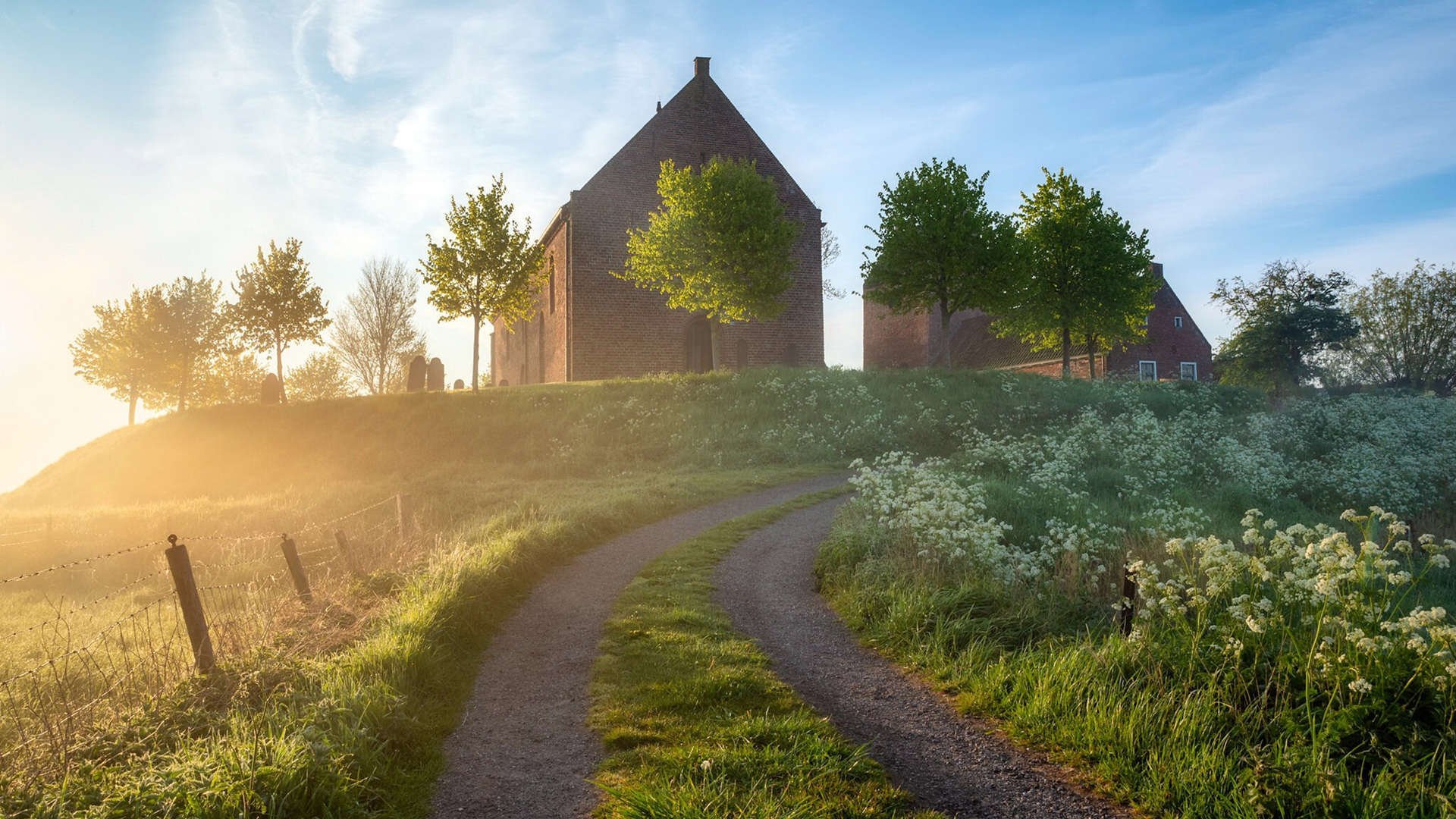 中国篮球教练员职业发展路径优化及培训体系,篮球教练发展空间