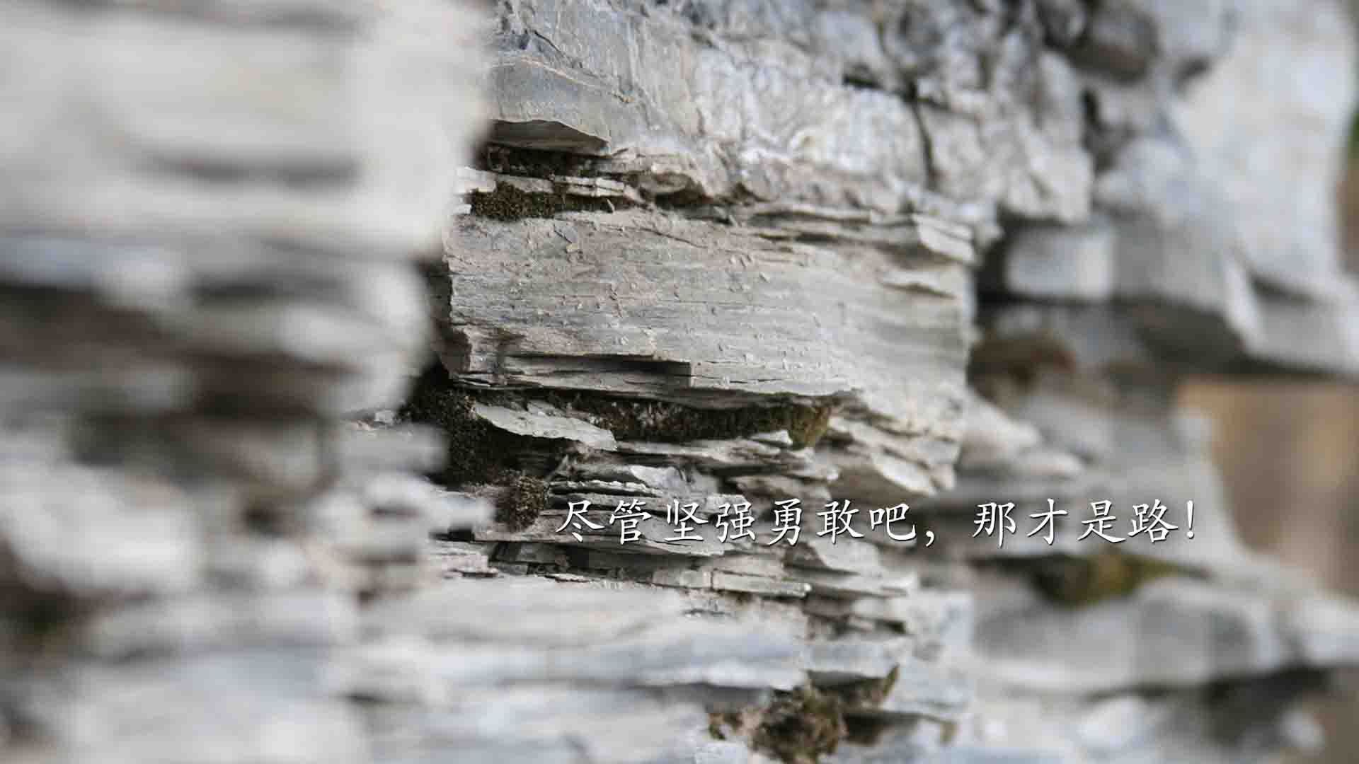 中国篮球教练员职业发展需求及培训体系构建研究，2021中国篮球教练员培训