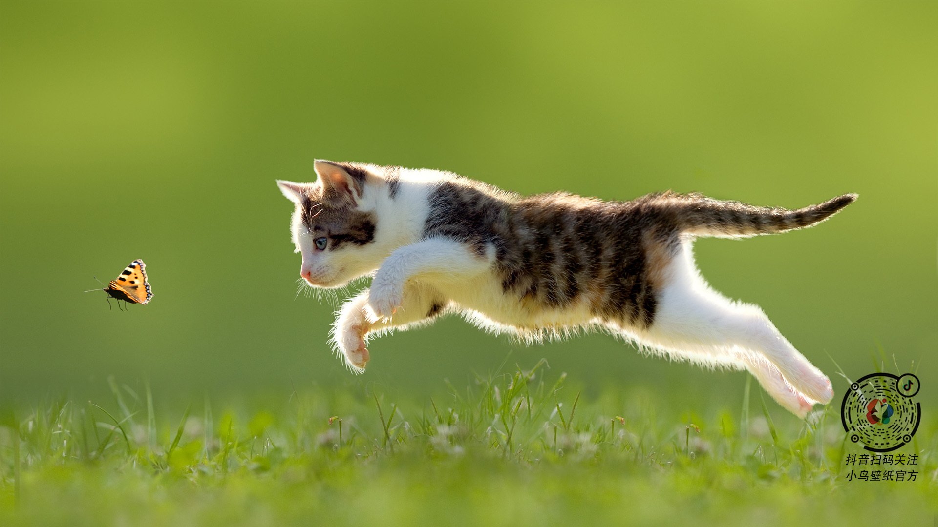 篮球专项技能训练数据分析与应用研究，篮球技术分析报告