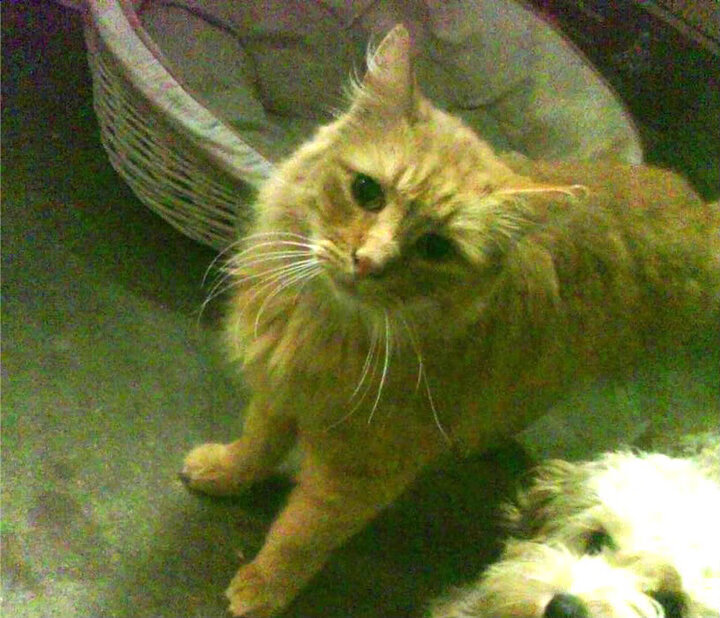 高校体育运动损伤预防教育体系研究,高中体育运动损伤及预防ppt