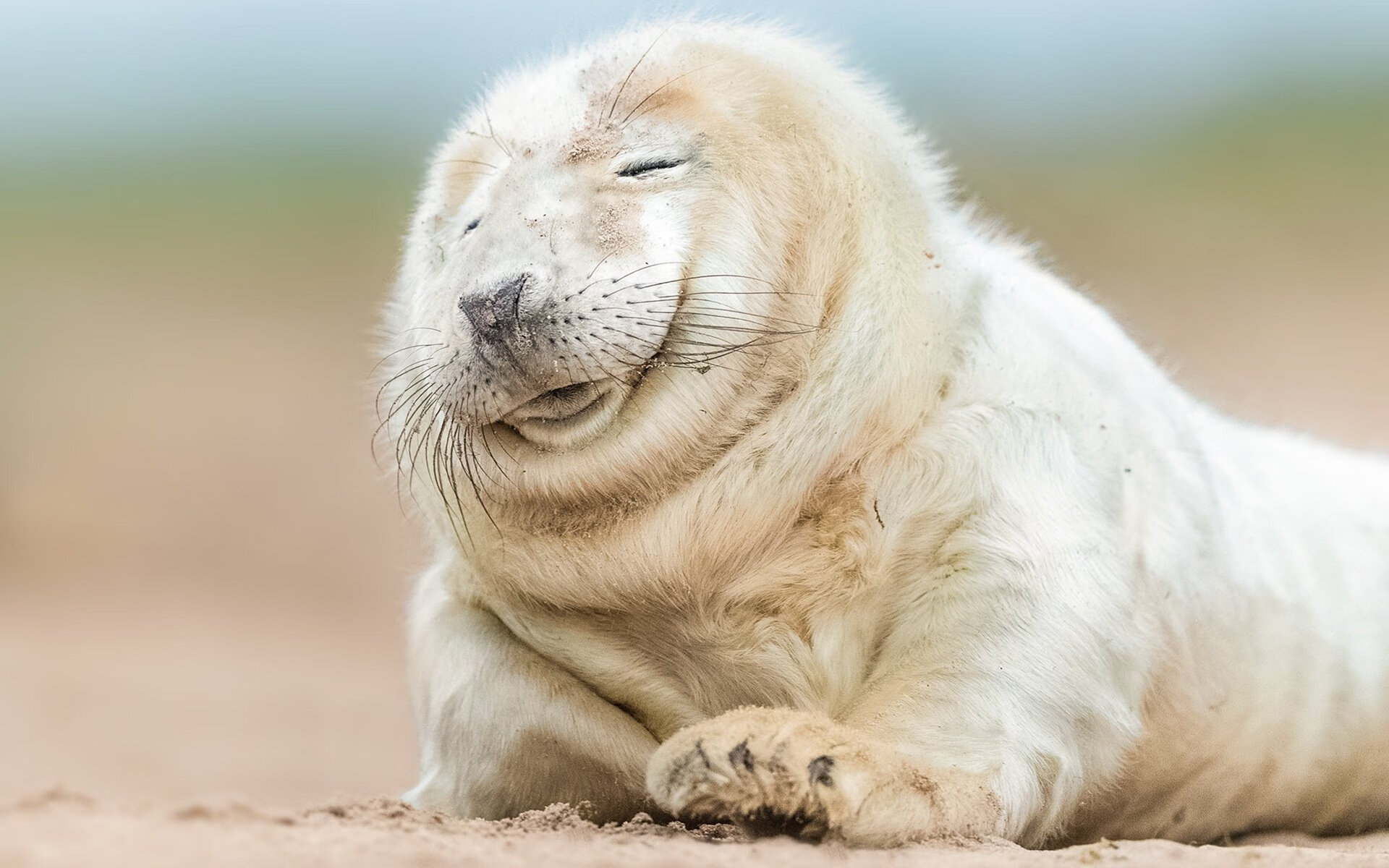 职业球员技术与转型路径未形成梯队标准，职业球员的素养