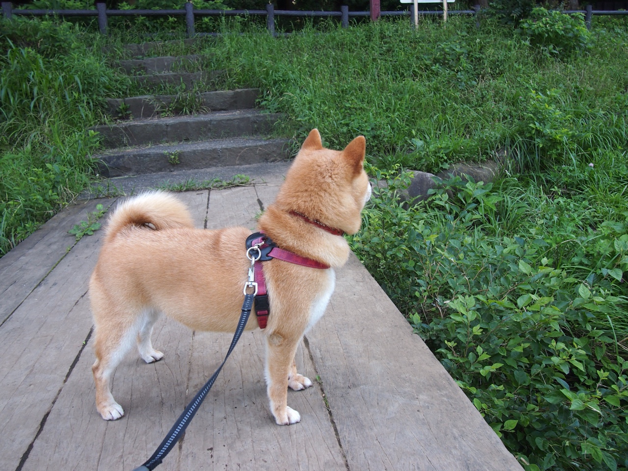 联盟中最不容易被防死的球员排名，联盟防守最好的球员