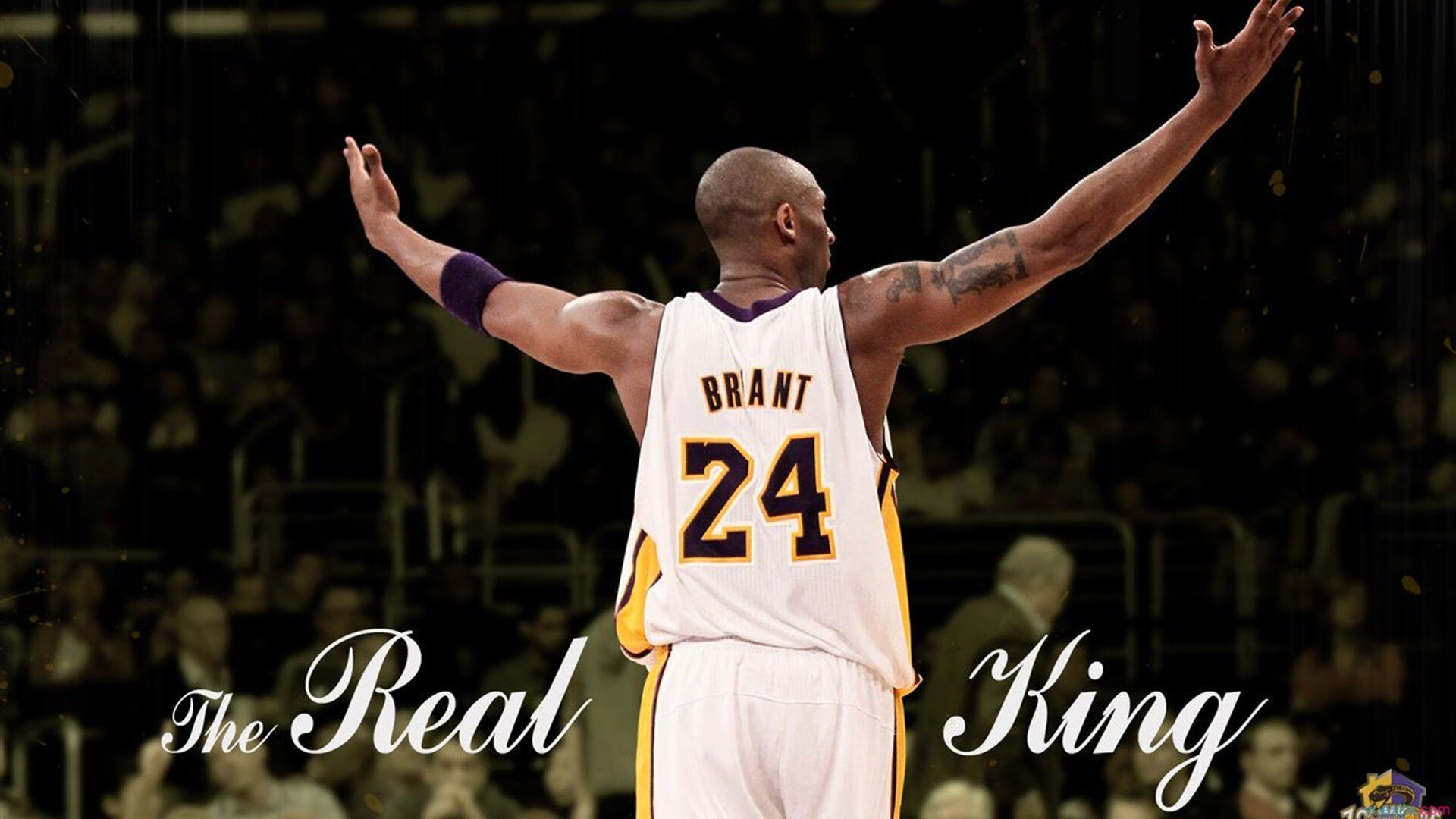 “马科斯·梅特罗的领导能力,带领阿根廷美洲狮队取得历史性突破”