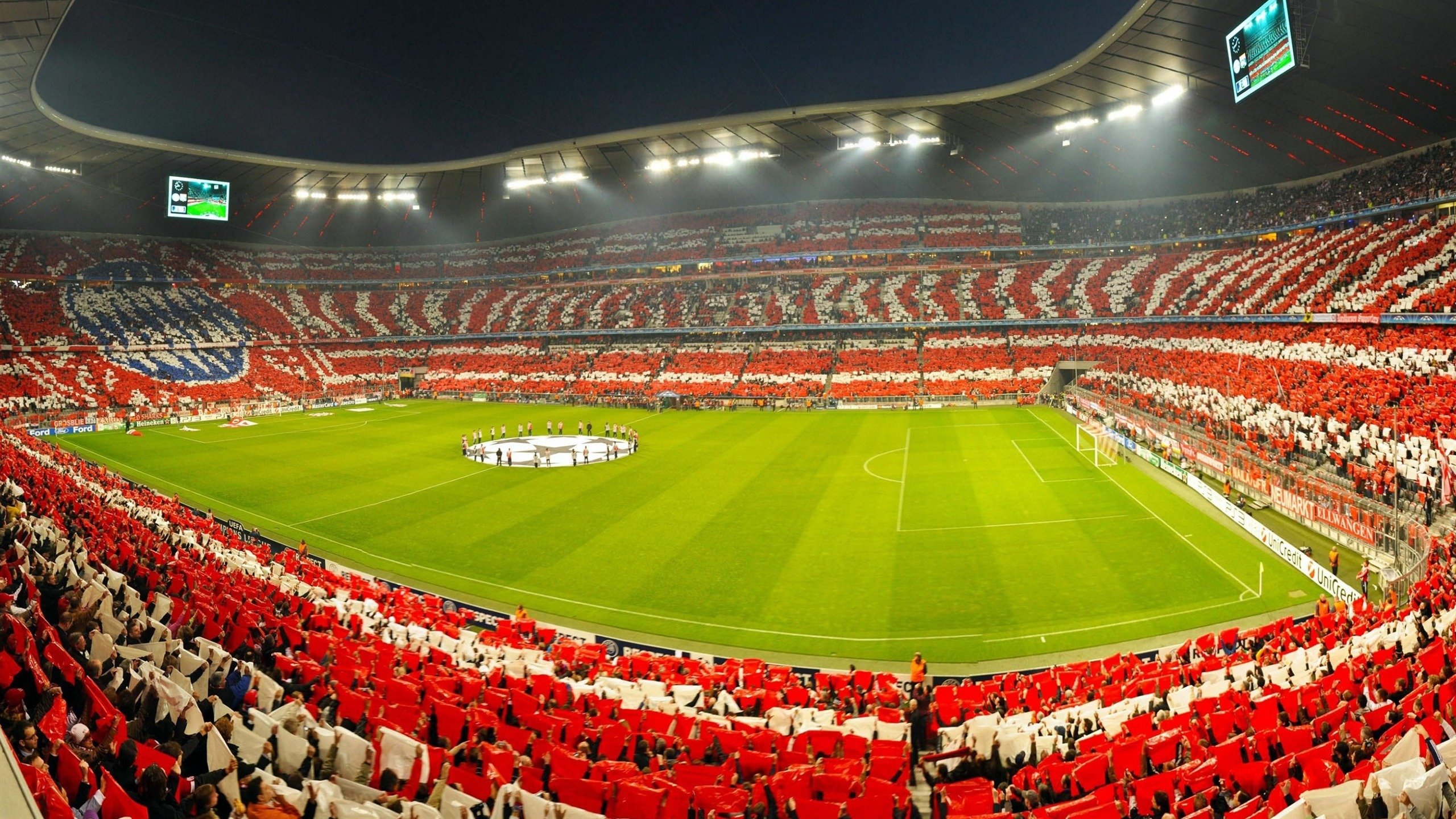 南非羚羊队:每一场比赛中,他们都能迅速恢复并进入节奏,南非大羚羊主要分布哪里