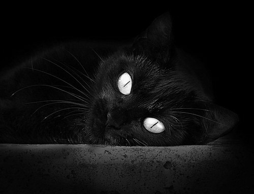 德甲争冠激战：节奏快、技巧高，场面火热，德甲打法