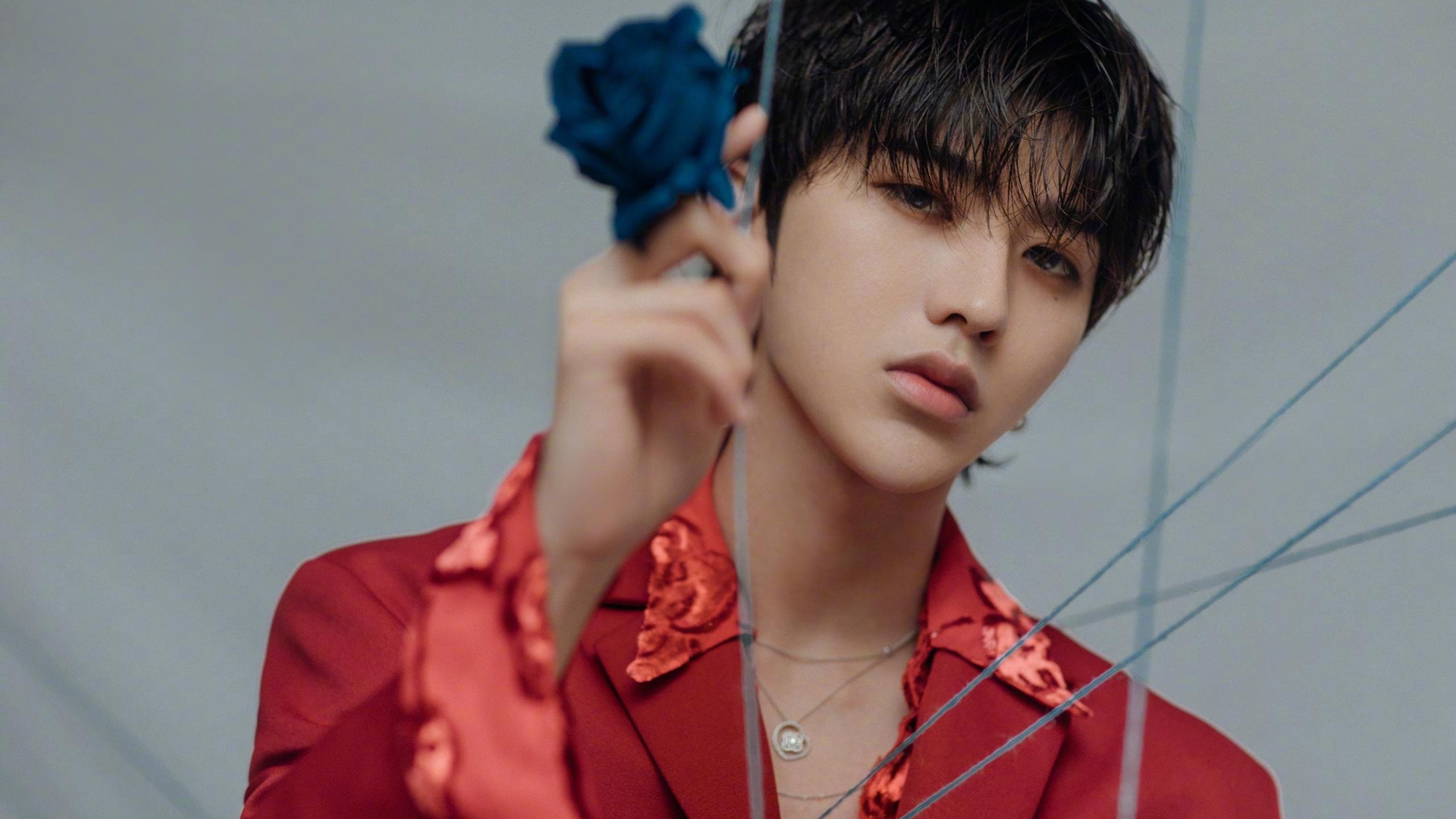 美洲杯劲爆对决：逆境中展现英雄本色，美洲杯决赛剪辑