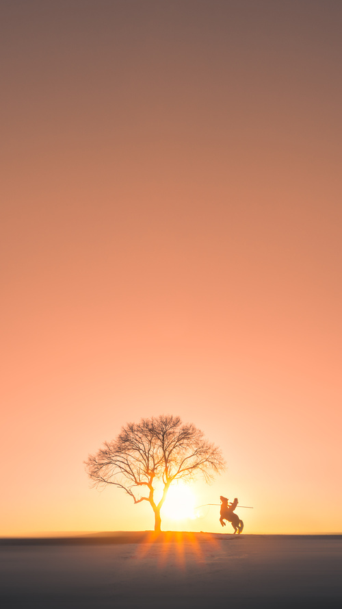 艾比·德尔福：准确的防守判断让南非队牢牢掌控比赛节奏，比尔和艾德