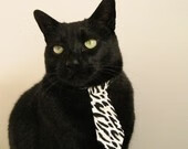 青少年篮球手册发布提供科学训练建议与心理建设方法,青少年篮球技术训练的基本要求