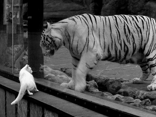 东兴中学伤亡事件影响深远，调查持续进行，东兴中学喜报