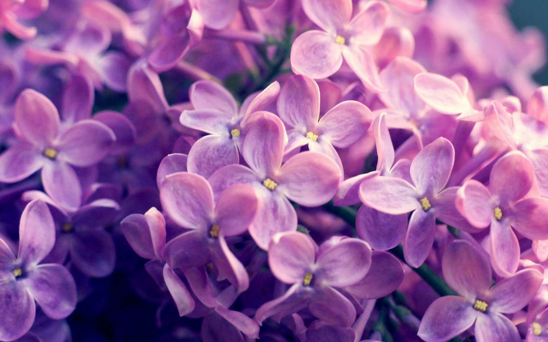 中国球员入选亚洲最佳阵容引发热议，亚洲球员实力排名