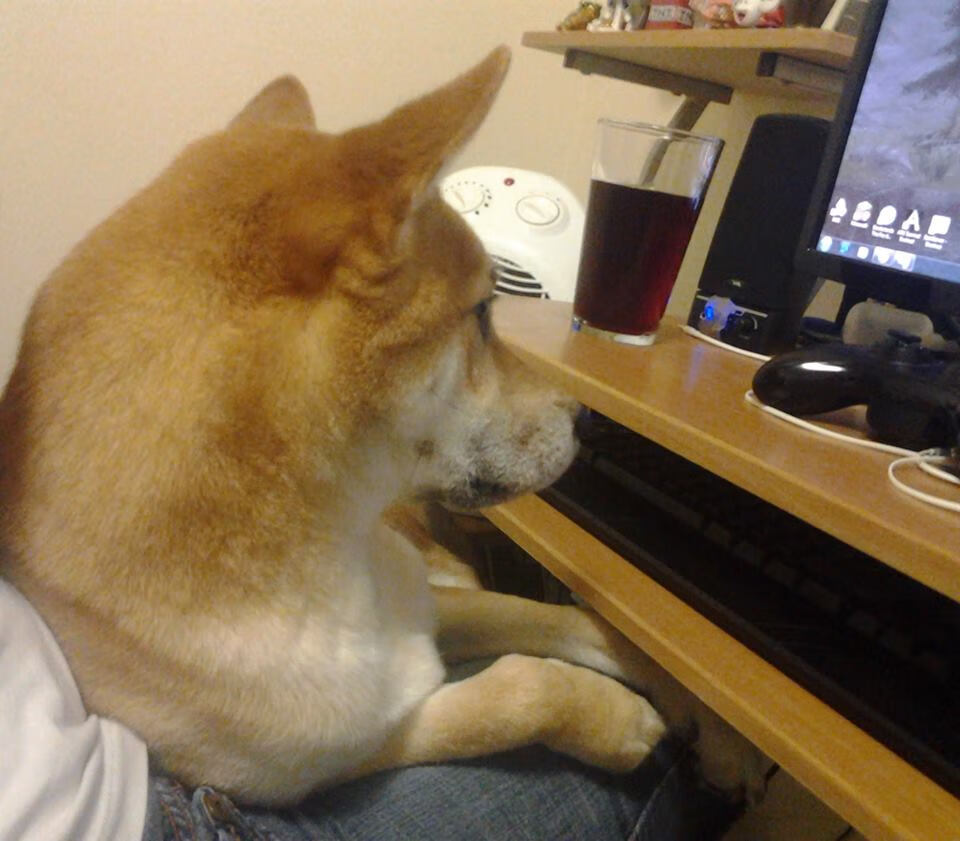 中国篮球的基础设施建设现状,中国篮球的发展现状及存在的问题