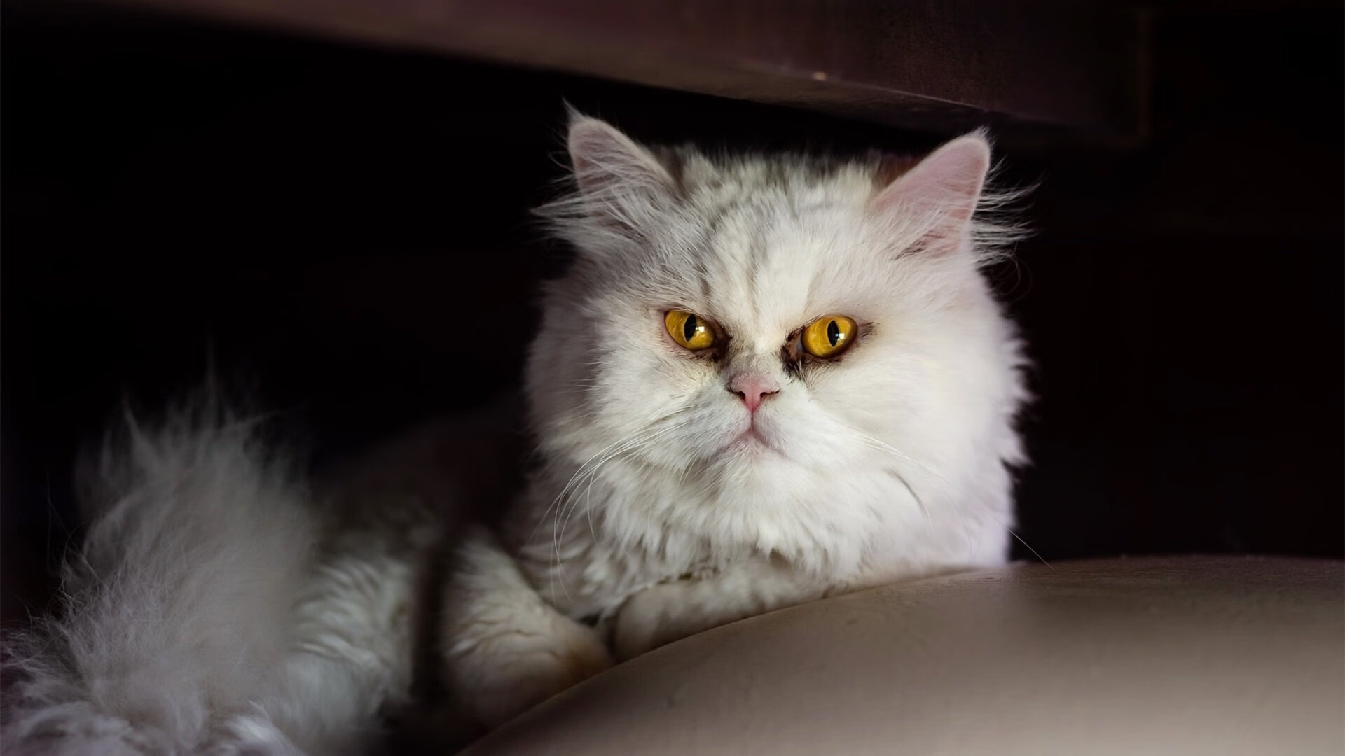 中国足球俱乐部强化青年队伍训练管理，中国足球青训人才