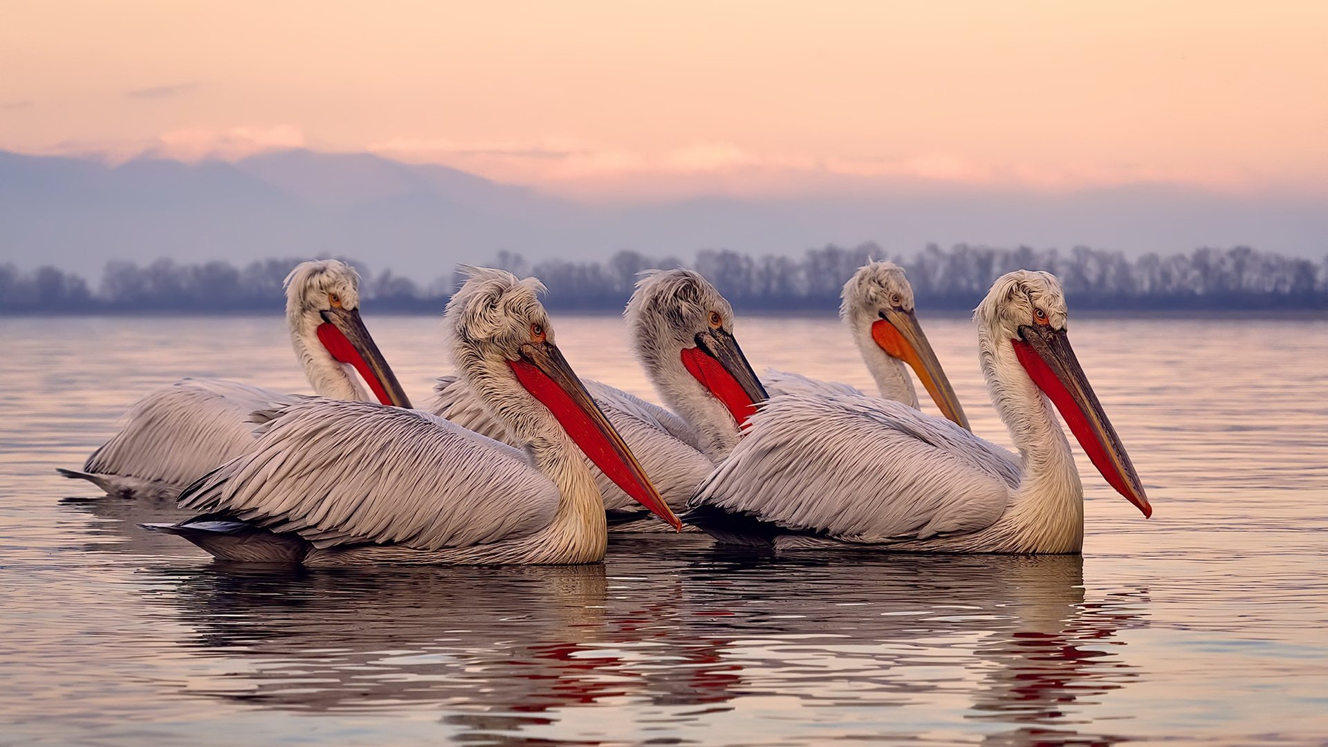 从巴萨批评对象到世界最佳，登贝莱如何完成华丽转身？，登贝莱加盟巴萨转会费