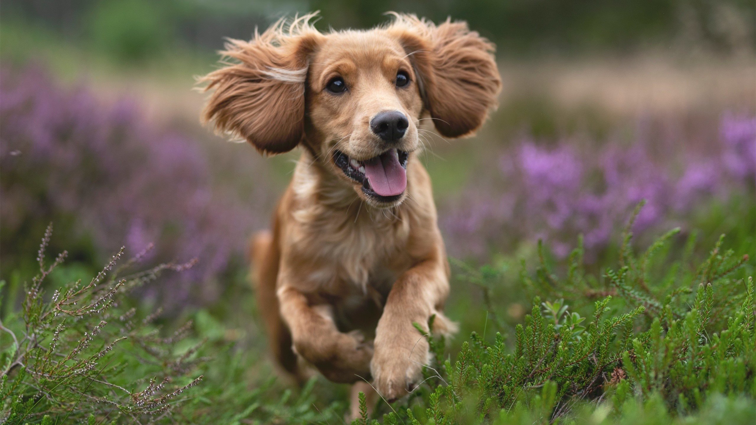 体育新闻中心支持运动社群知识内容共建机制，体育新闻中心支持运动社群知识内容共建机制是什么